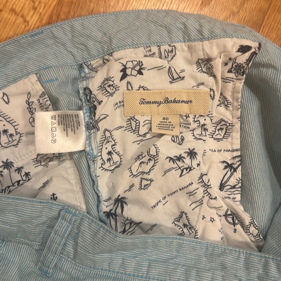 Tommy Bahama Linen Blue White Striped Shorts - Picture 5 of 7